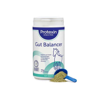 A white plastic tub of Protexin Equine Gut Balancer supplement with a blue scoop containing greenish-brown powder placed in front, on a clean white background.