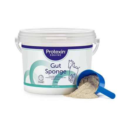 A white plastic tub of Protexin Equine Gut Sponge supplement with a blue scoop tipped over on a white background, showing a light beige powder spilled out.