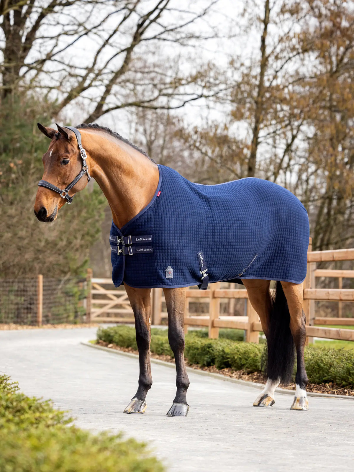 LeMieux Arika Clima-Tek Cooler Rug