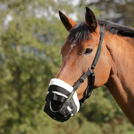 Shires FreeGraze Deluxe Comfort Grazing Muzzle