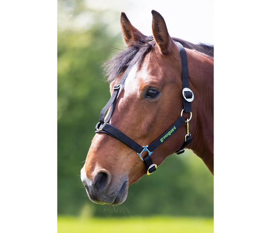 Greenguard Headcollar
