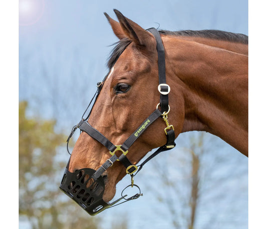 Shires Greenguard Muzzle Black