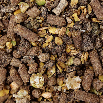 Saracen Veteran Balancer 20kg - Free P&P