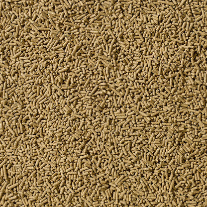 Saracen Essential Balancer 20kg