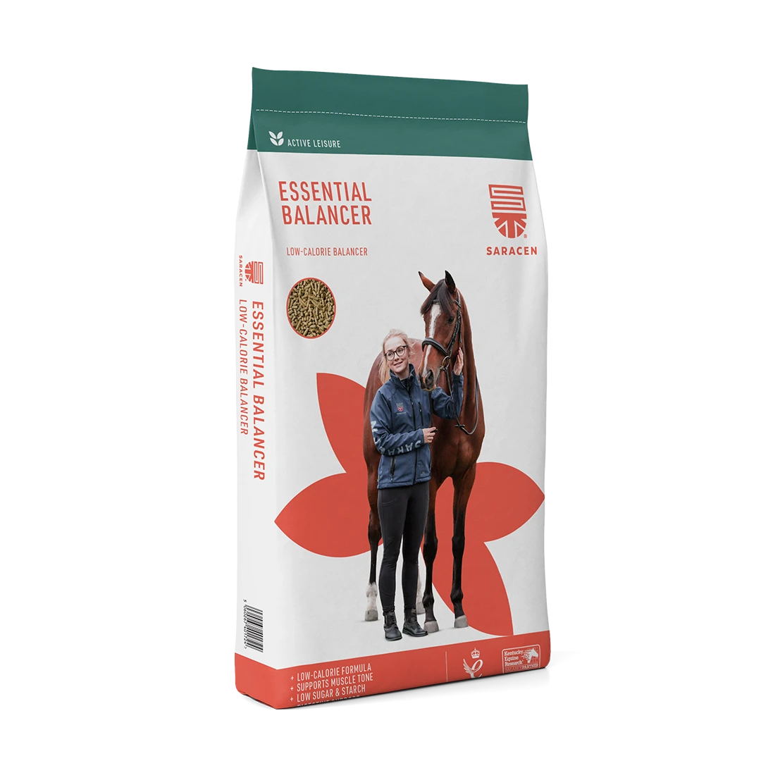 Saracen Essential Balancer 20kg