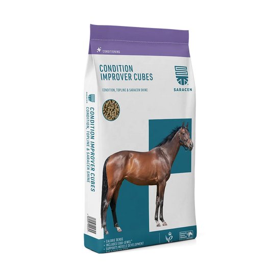 Saracen Condition Improver Cubes 20kg