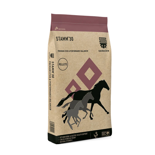 Saracen Stamm 30 20kg