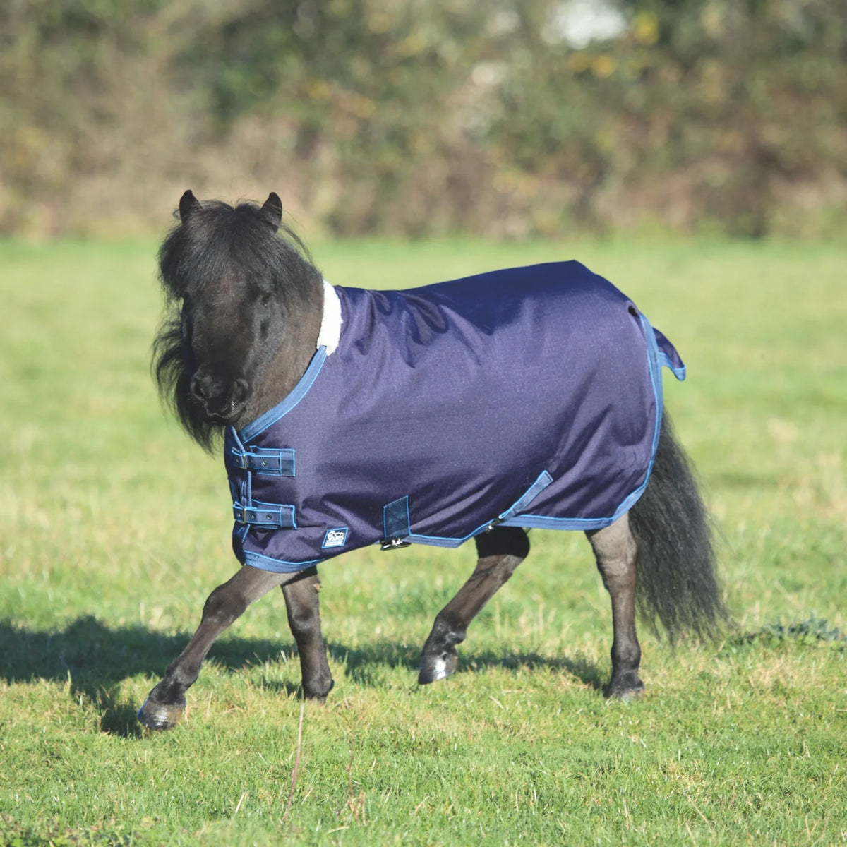 Shires Tempest Original Lite Mini Turnout Rug Navy