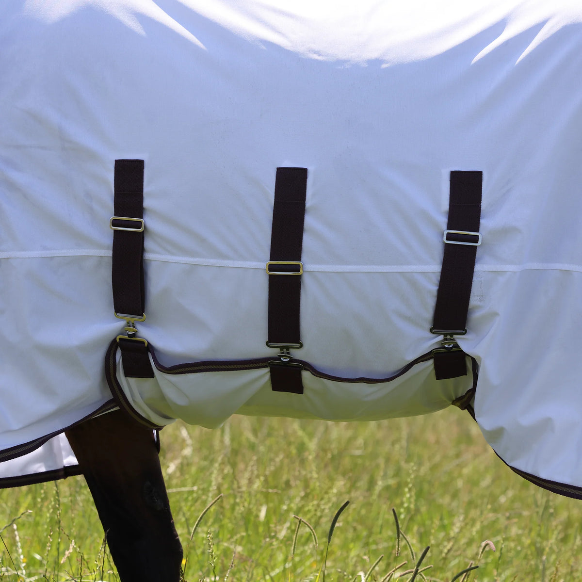 Shires Highlander Plus Fly Sheet Combo Black Cherry