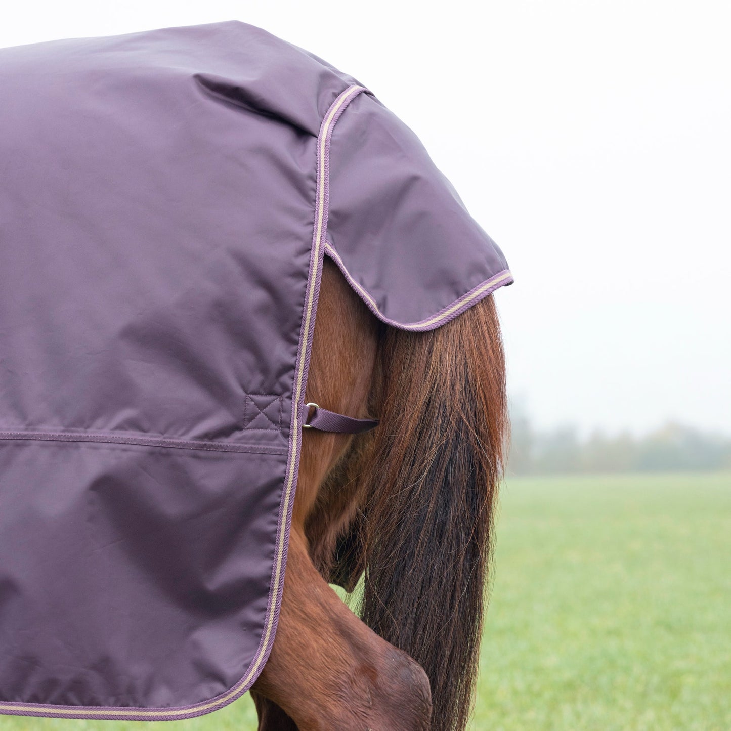 Shires Typhoon 100g Turnout Rug Black Cherry