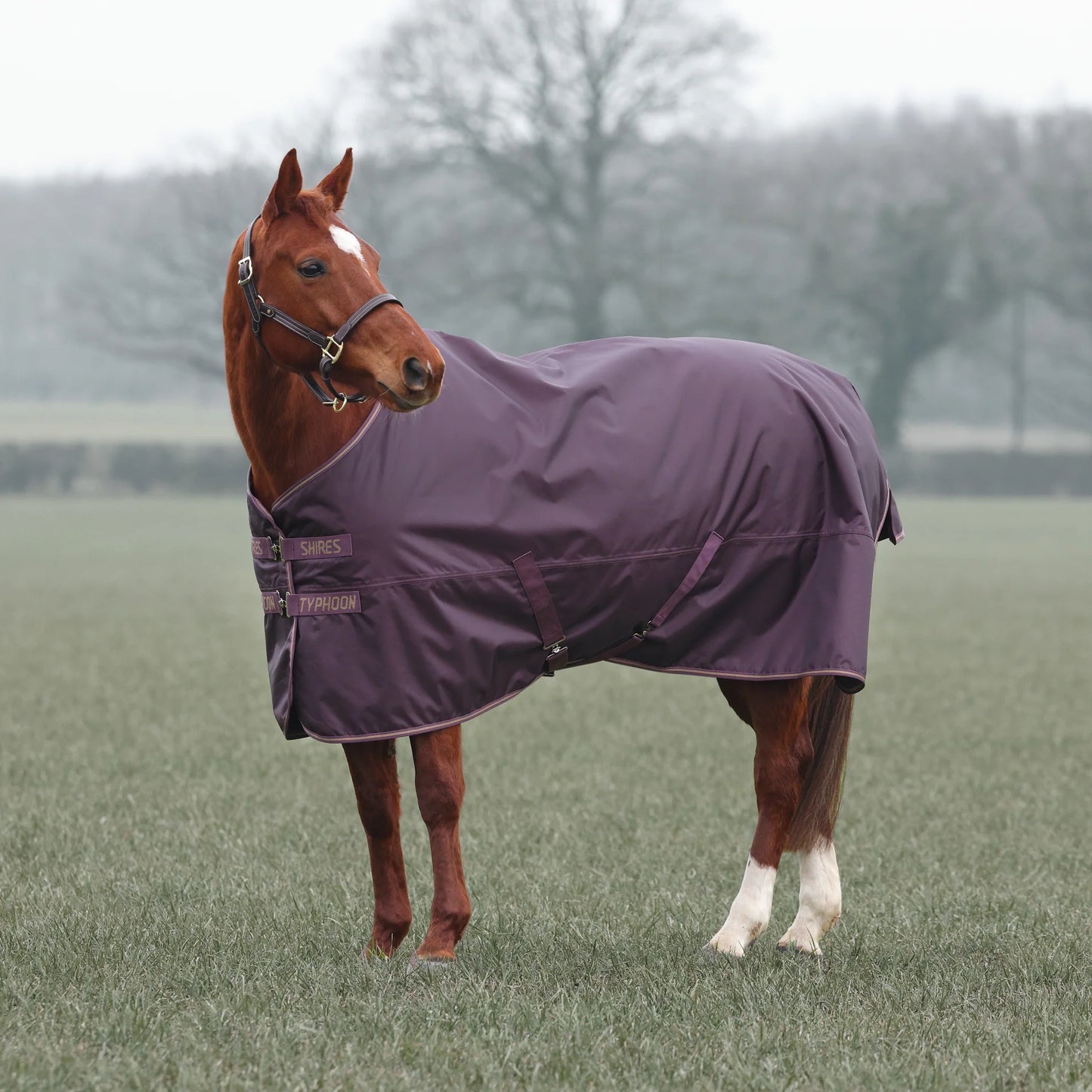 Shires Typhoon 100g Turnout Rug Black Cherry