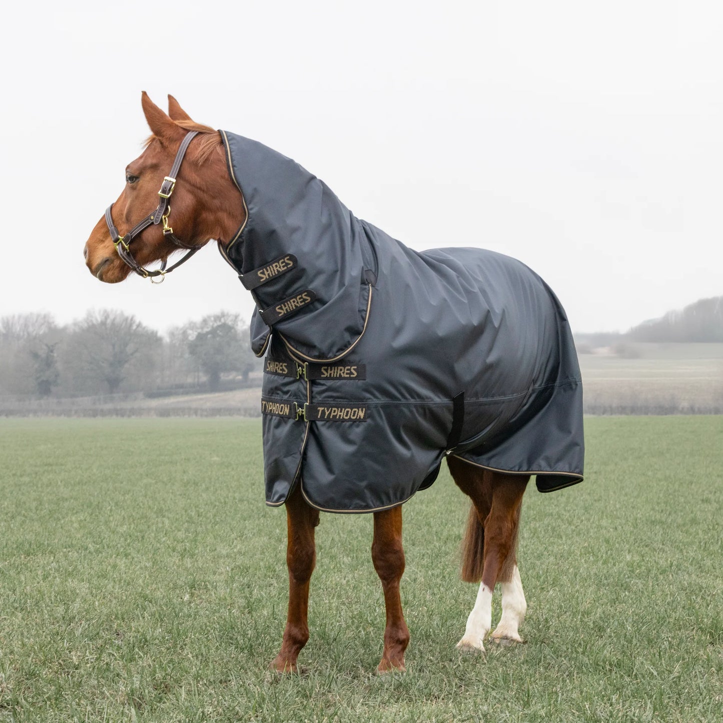 Shires Typhoon 50g Combo Turnout Rug Black