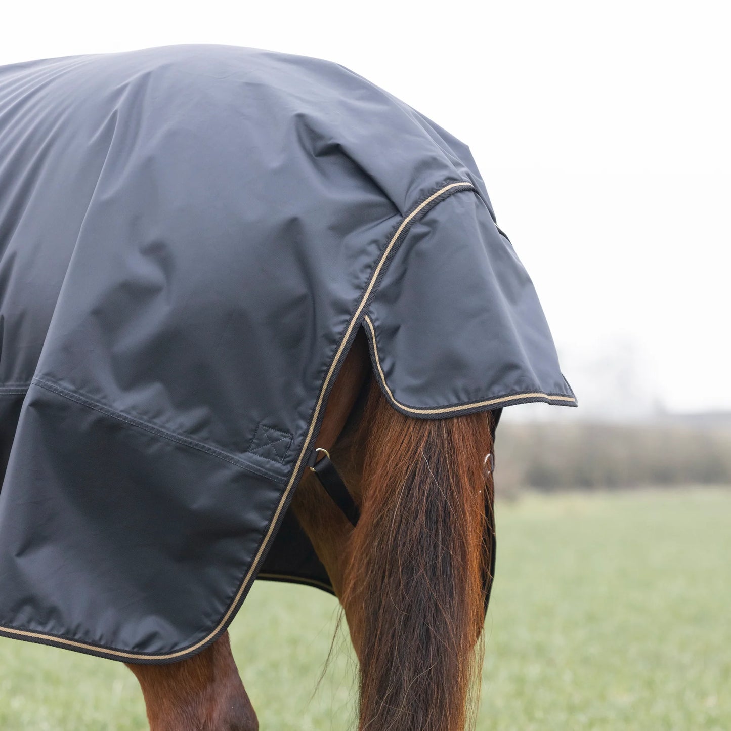 Shires Typhoon 50g Combo Turnout Rug Black