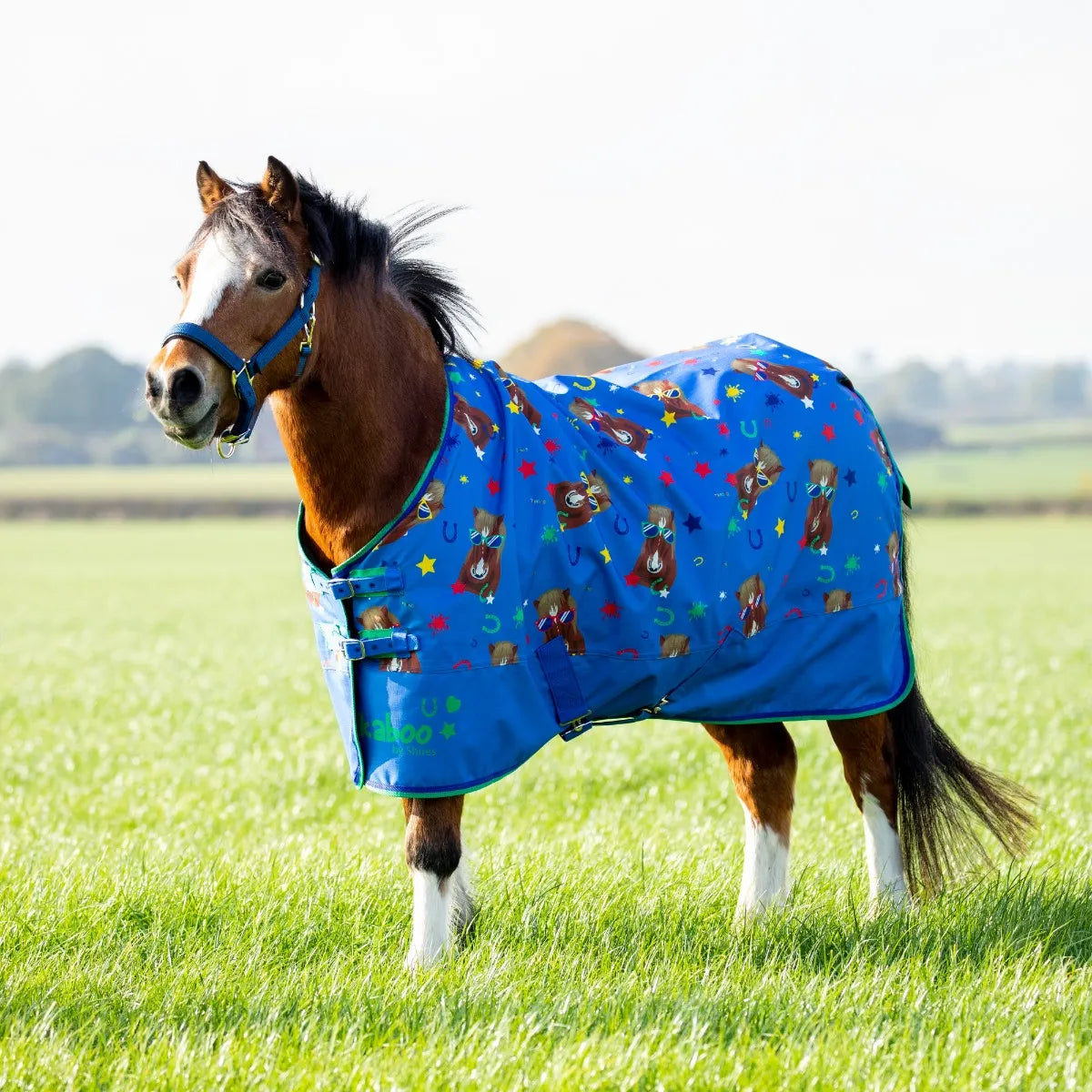 Shires Tikaboo Lite Turnout Rug