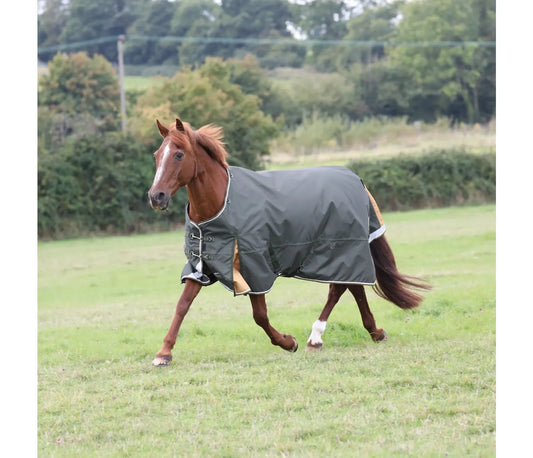 Shires Highlander Plus 50g Turnout Rug Green
