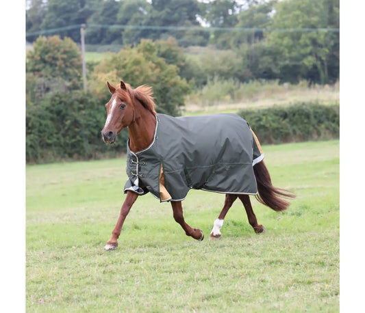 Shires Highlander Plus 50 Turnout Rug Green