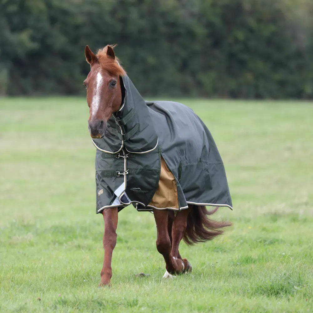 Shires Highlander Plus 50g Combo Turnout Rug Green