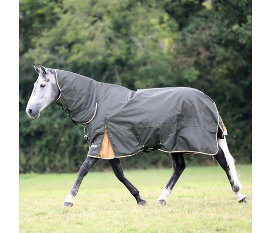 Shires Highlander Plus 50g Combo Turnout Rug Green