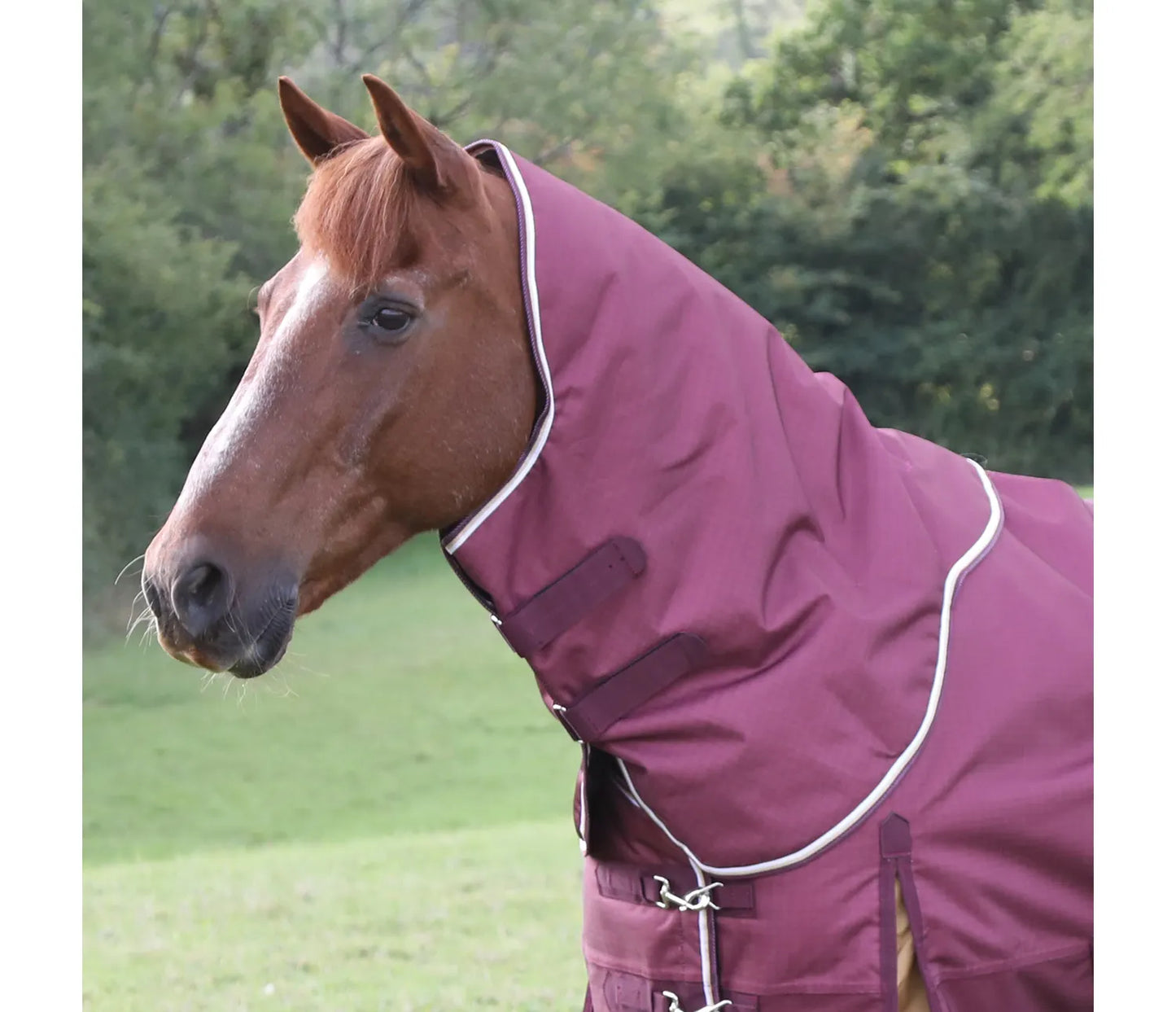 Shires Highlander Plus 100g Turnout Rug Neck Cover Maroon