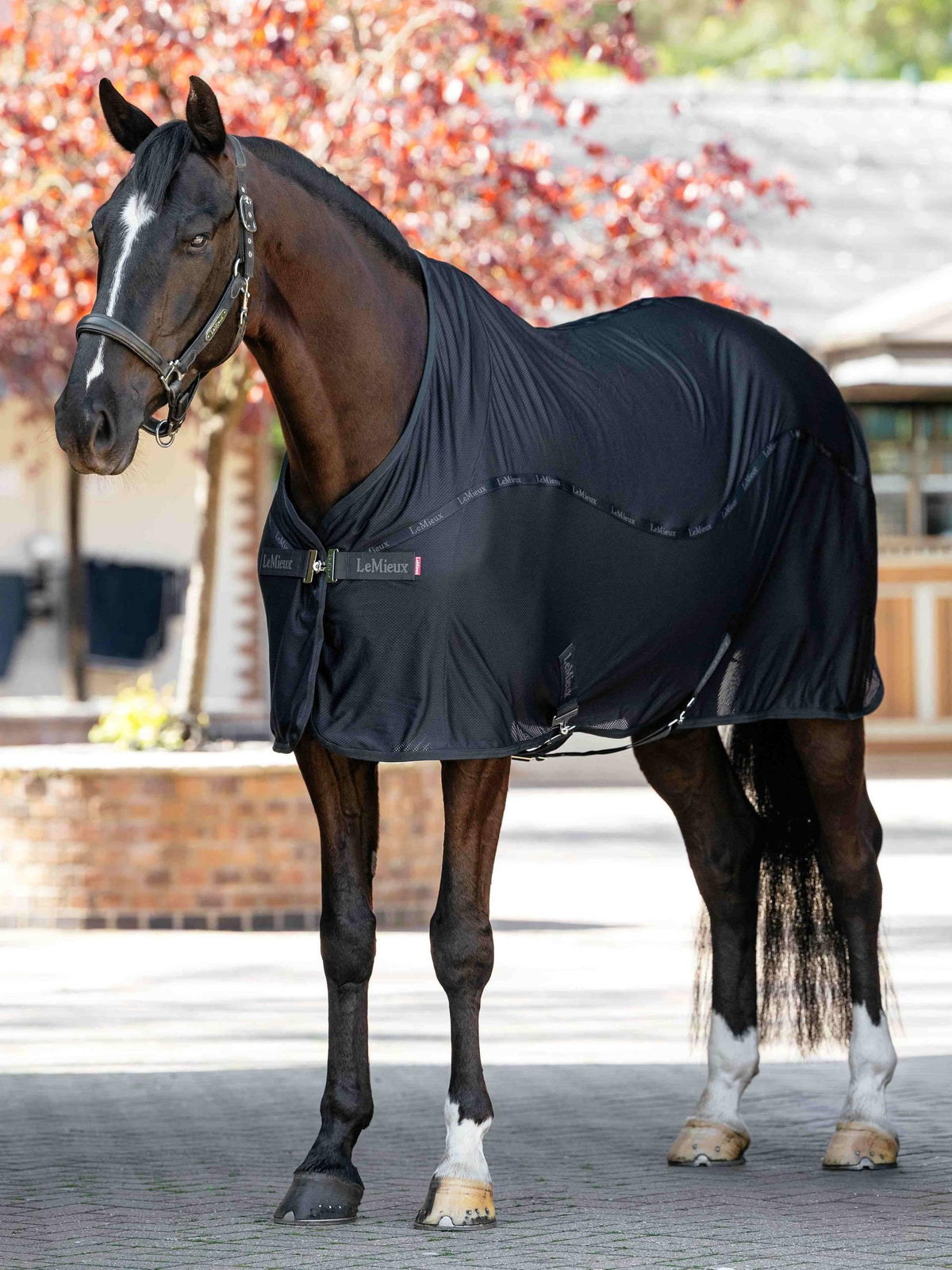 LeMieux Arika Air-Tek Sheet Navy view 2
