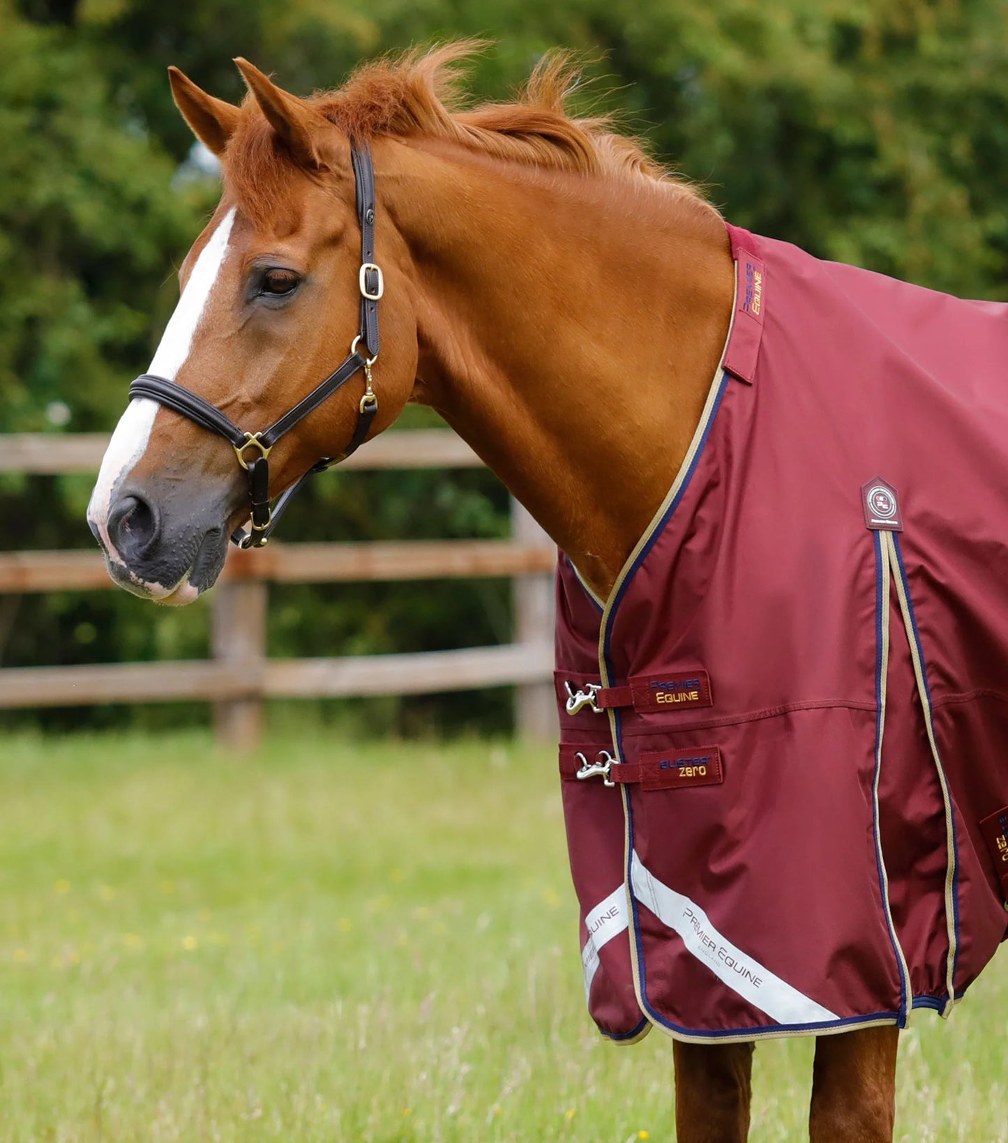 Premier Equine Buster Zero Turnout Rug with Classic Neck Cover