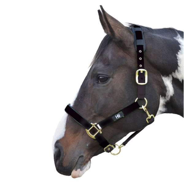 Hy Equestrian Deluxe Padded Head Collar