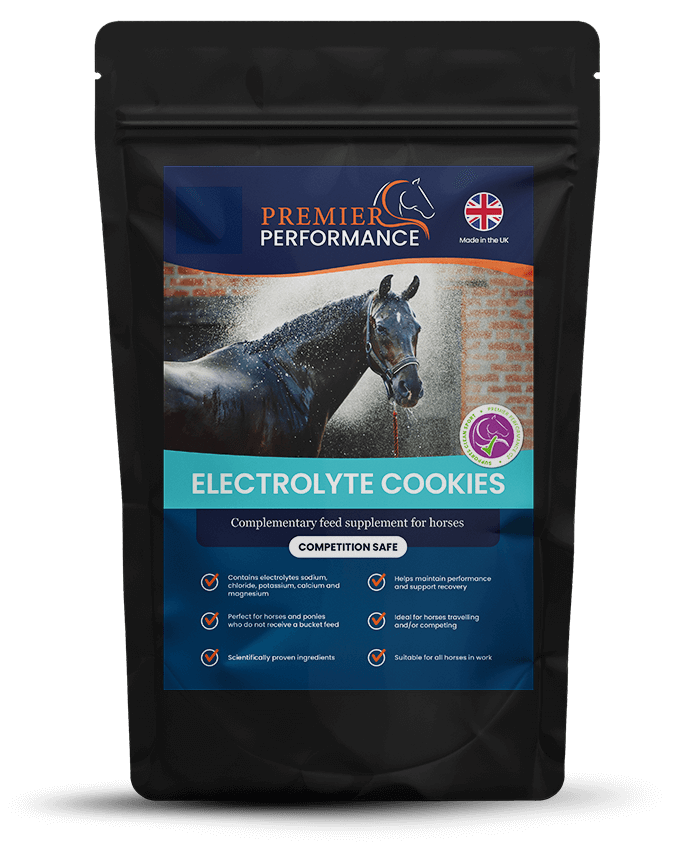 Premier Performance Electrolyte Cookies - Pack of 10