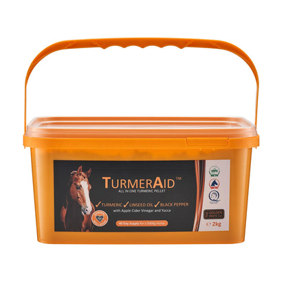 The Golden Paste Co Turmeraid for Horses