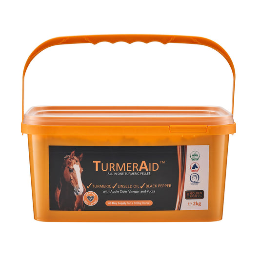 The Golden Paste Co Turmeraid for Horses