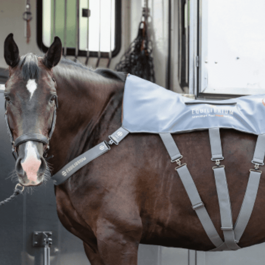 Equilibrium Massage Pad Heatsense - NEW IN
