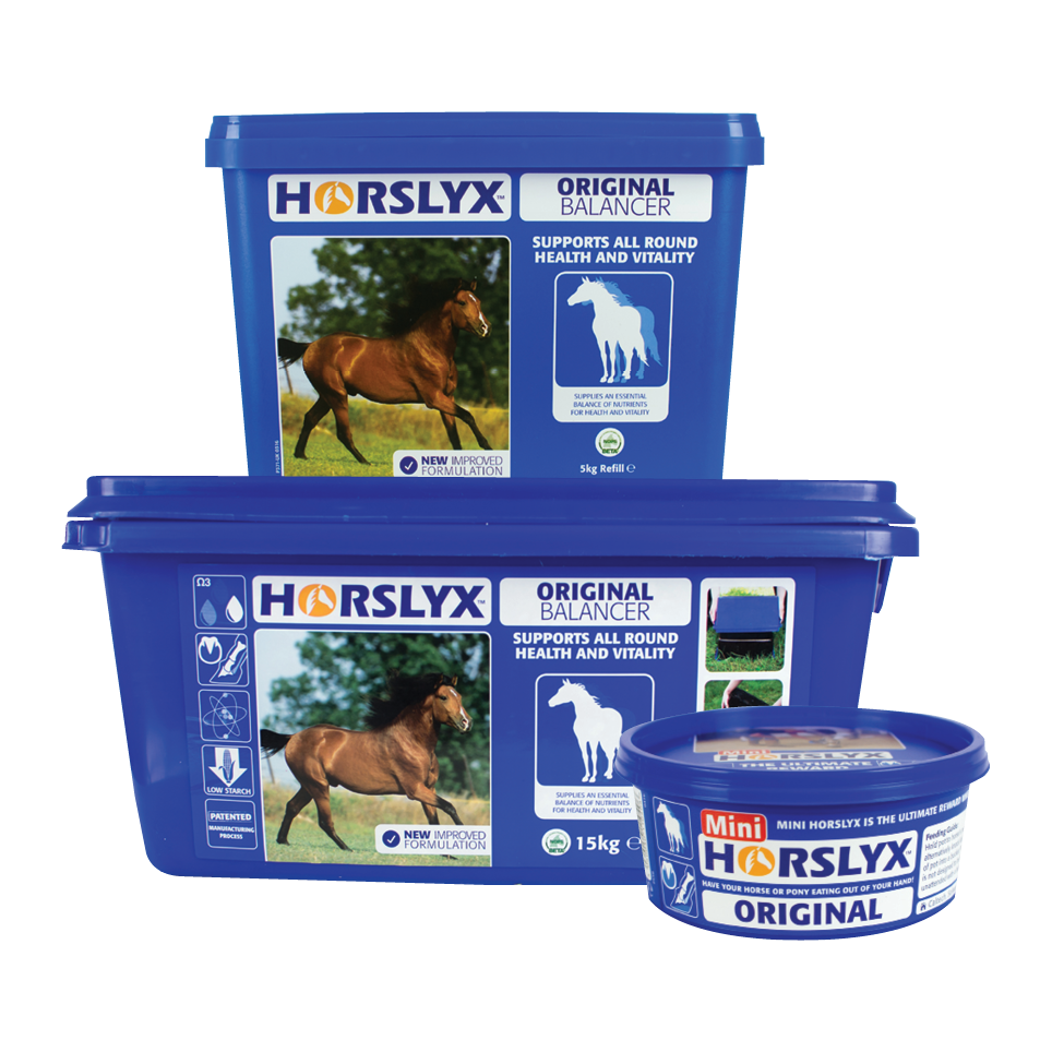 Horslyx Original
