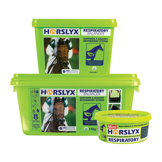 Horslyx Respiratory Balancer