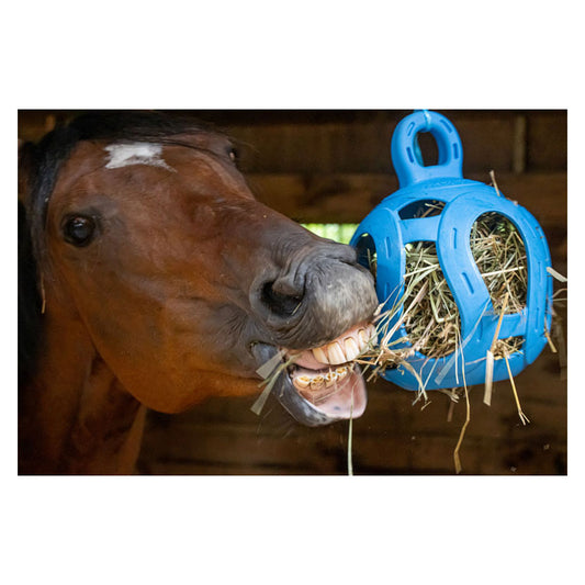 Horsemens Pride Jolly Hay Ball 8 Inch