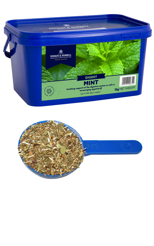 Dodson & Horrell Mint 1kg Tub