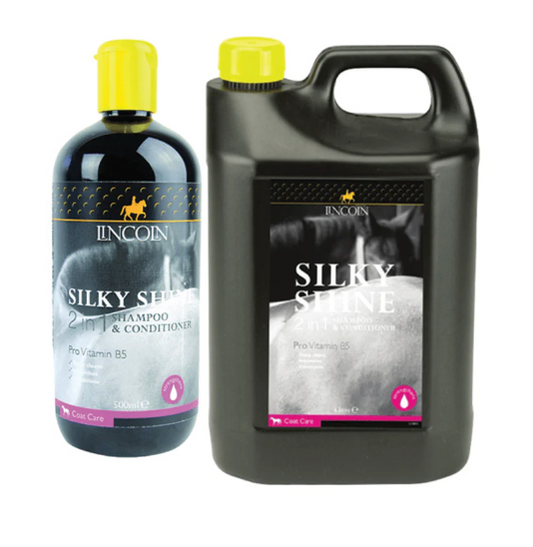 Lincoln Silky Shine 2-In-1 Shampoo & Conditioner