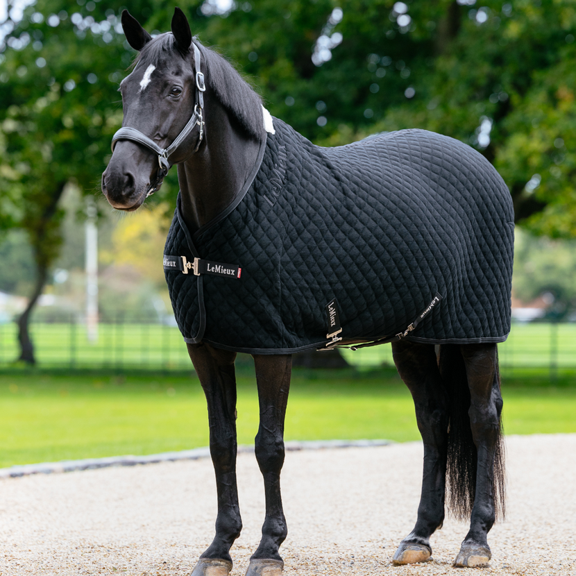 LeMieux Arika Clima-Tek Cooler Rug