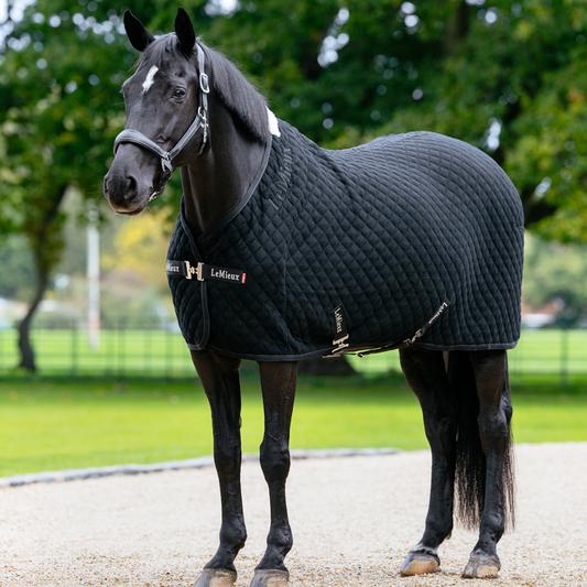 LeMieux Arika Clima-Tek Cooler Rug