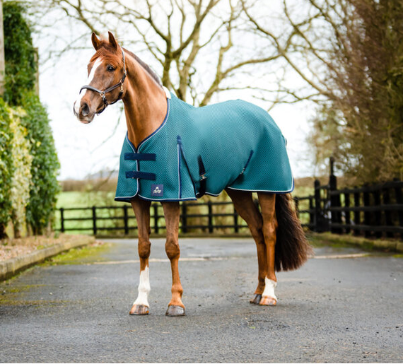Mackey Shannon Air Cooler Rug Petrol