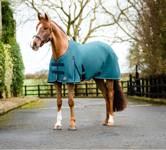 Mackey Shannon Air Cooler Rug Petrol