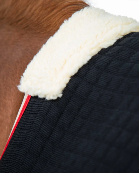 Premier Equine Premtex cooler rug, black, rear view