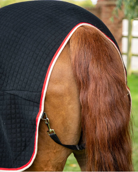 Premier Equine Premtex cooler rug, black, detail