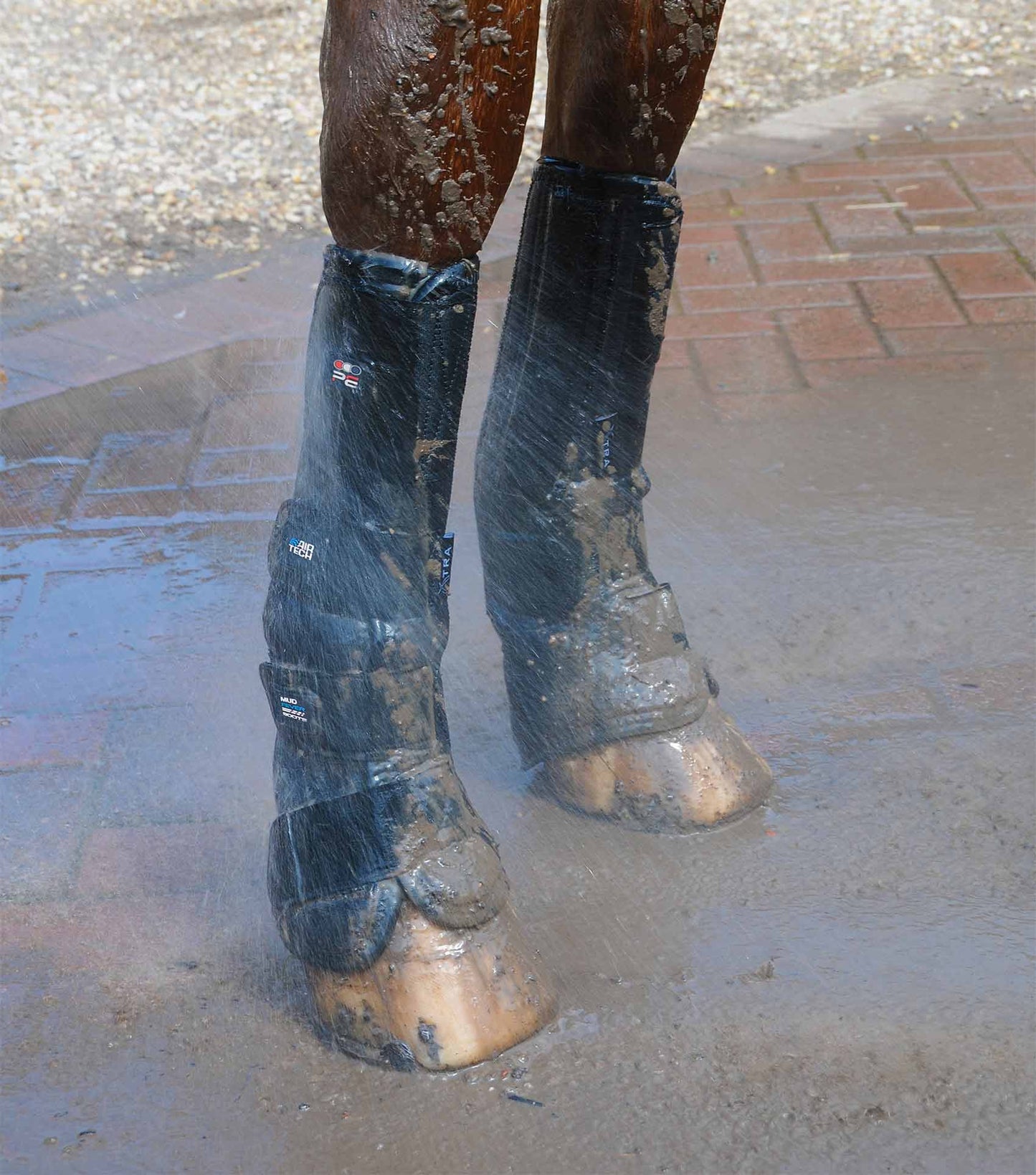Premier Equine Turnout/Mud Fever Boots (One Pair)