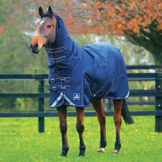 Mackey Wicklow 100g Detach-A-Neck Turnout Rug Navy/Gold