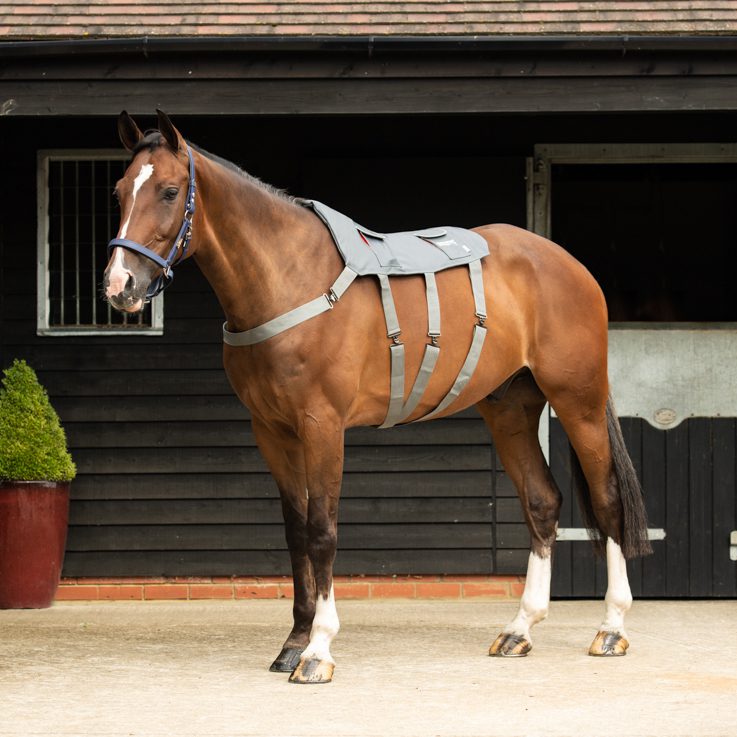 Equi shop massage pad
