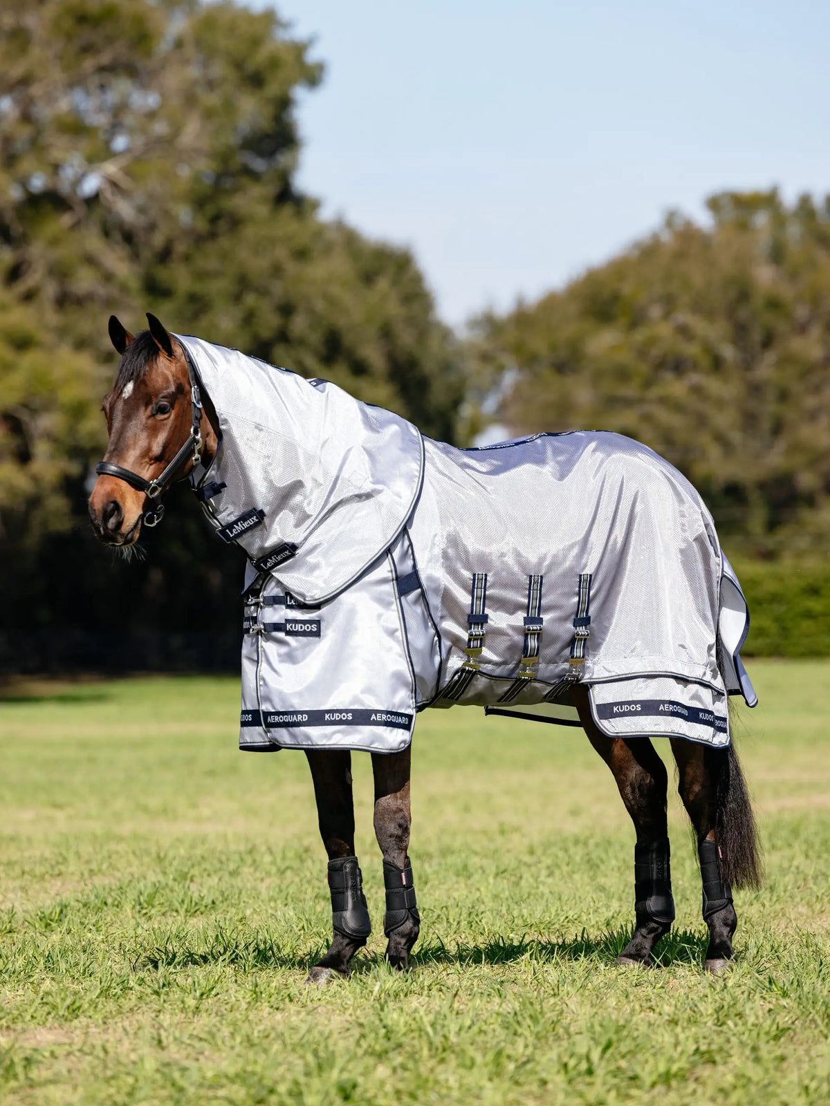 LeMieux Kudos AeroGuard Fly Rug Silver