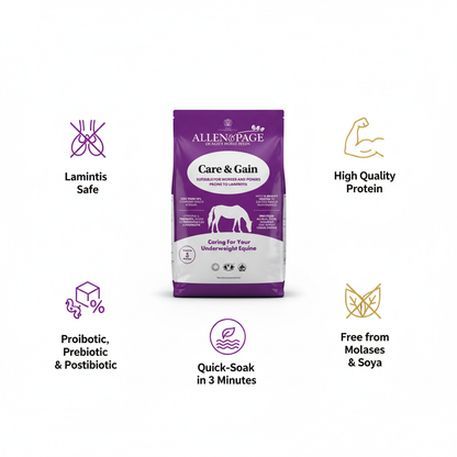 Allen & Page Care & Gain Infographic