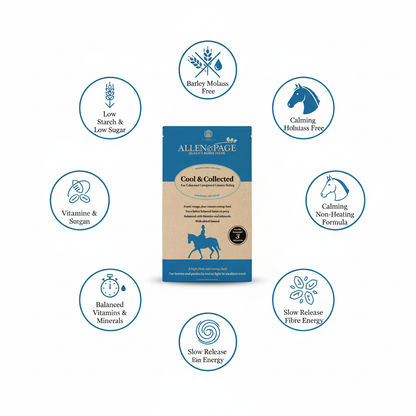 Allen & Page Cool & Collected Infographic