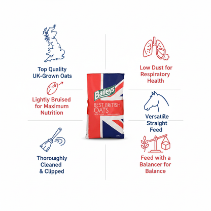 Baileys Best British Oats Infographic
