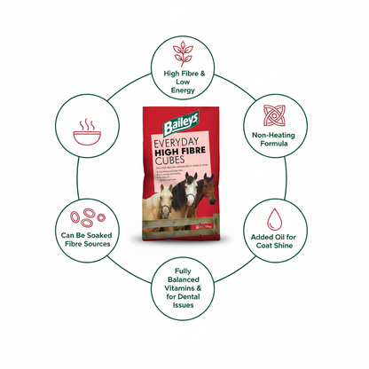 Baileys Everyday High Fibre Cubes Infographic