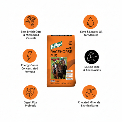 Baileys No.10 Racehorse Mix Infographic